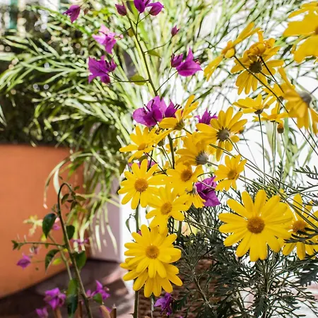 Apartman Spanish Steps & Terrace *
