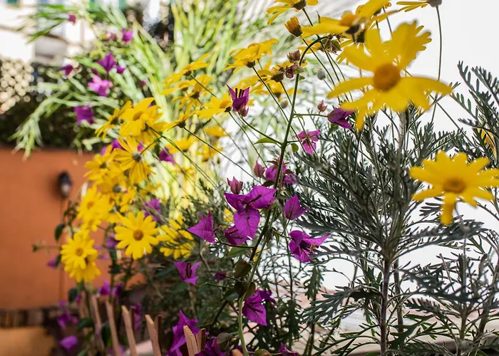 Apartman Spanish Steps & Terrace Róma